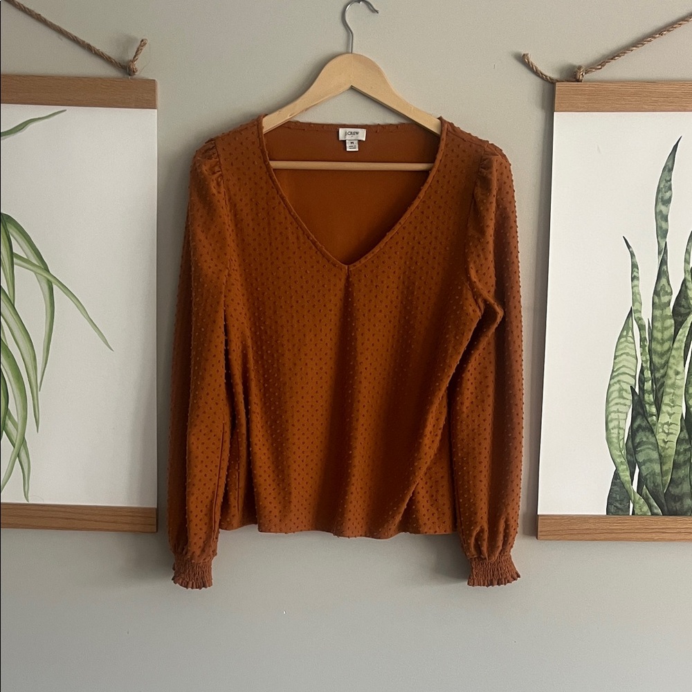 J.Crew Terracotta V-Neck Blouse